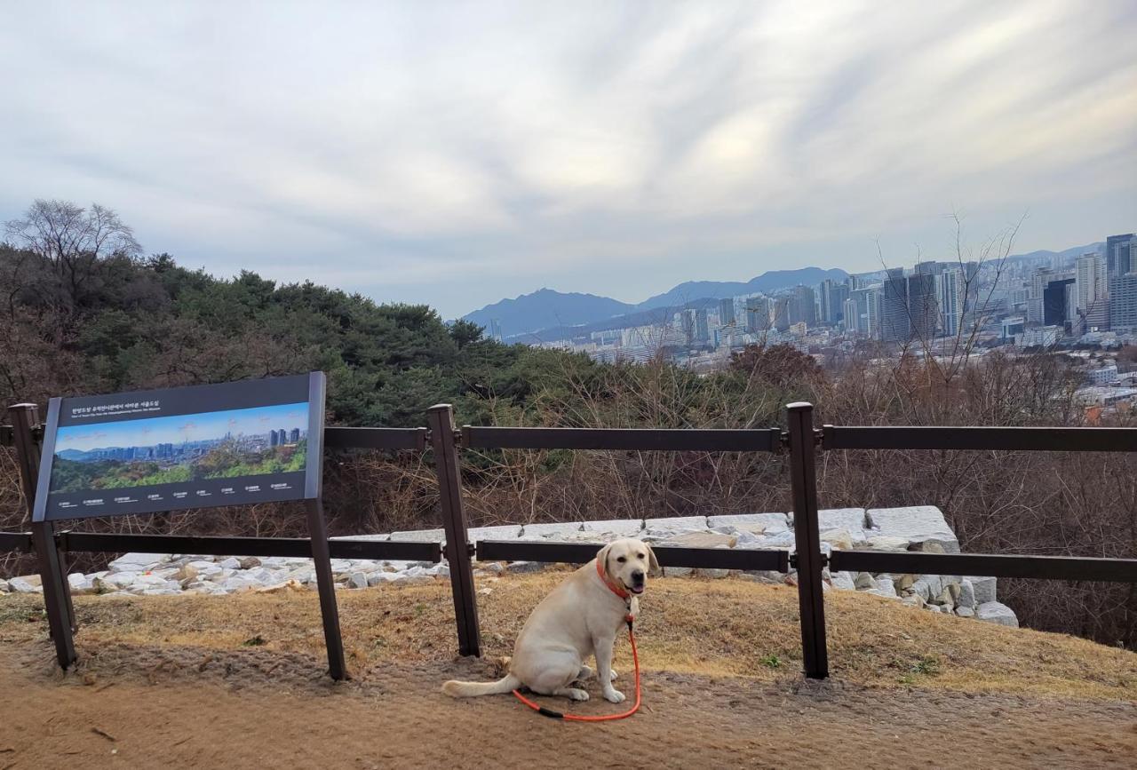 Hidden Ruby Apartment Seoul Ngoại thất bức ảnh